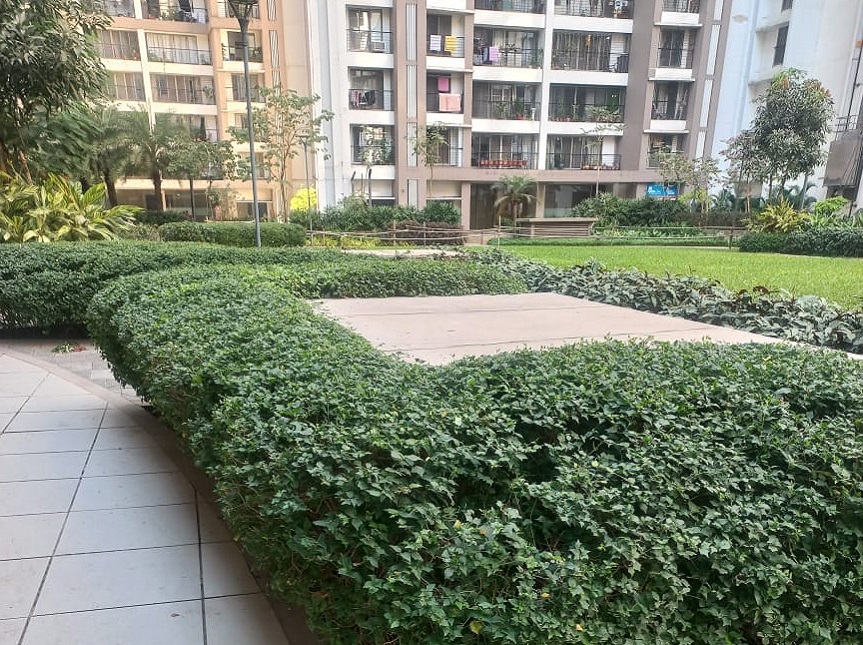 Greenscape Creation